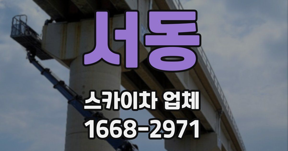 서동 스카이차 업체