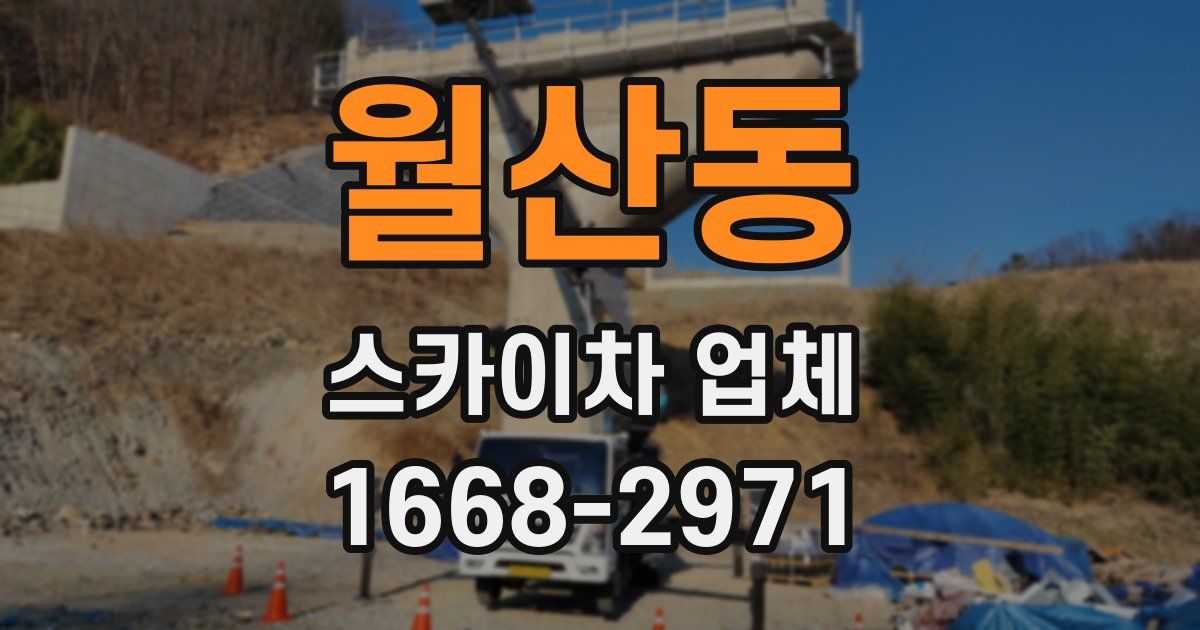 월산동 스카이차 업체