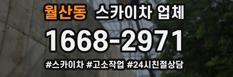월산동 스카이차 업체