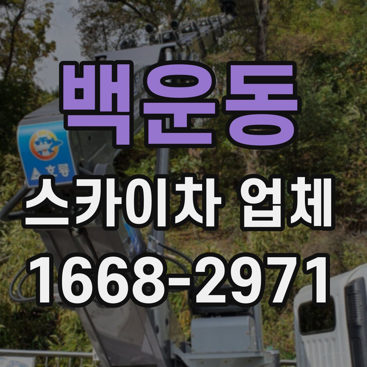 백운동 스카이차 업체