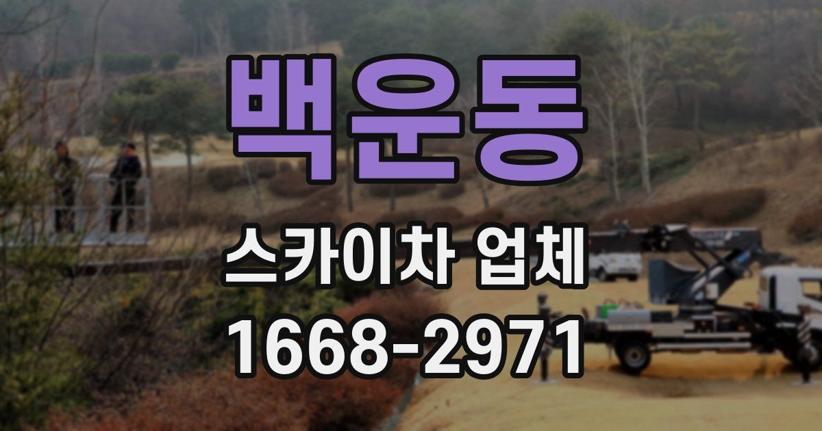 백운동 스카이차 업체