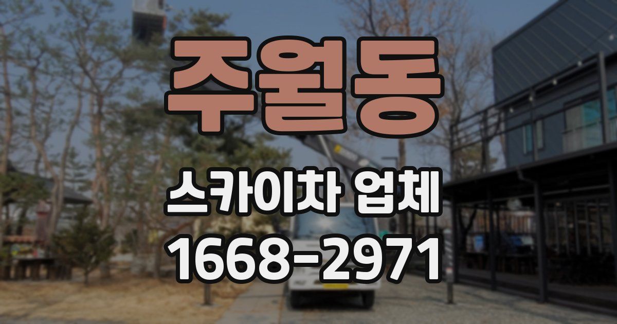 주월동 스카이차 업체