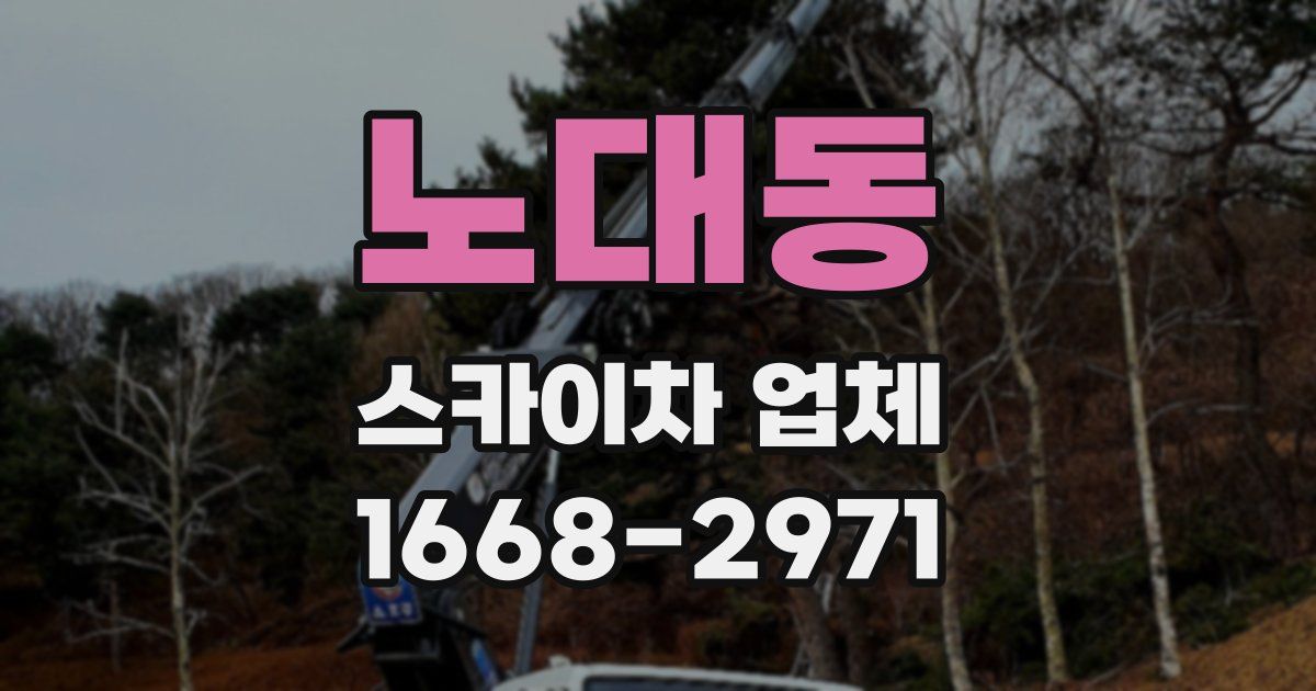 노대동 스카이차 업체