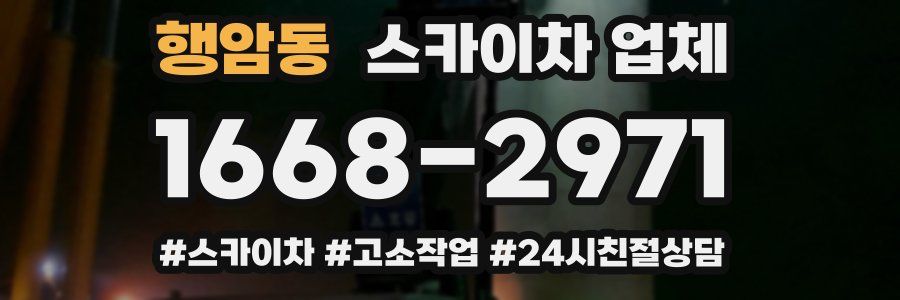행암동 스카이차 업체