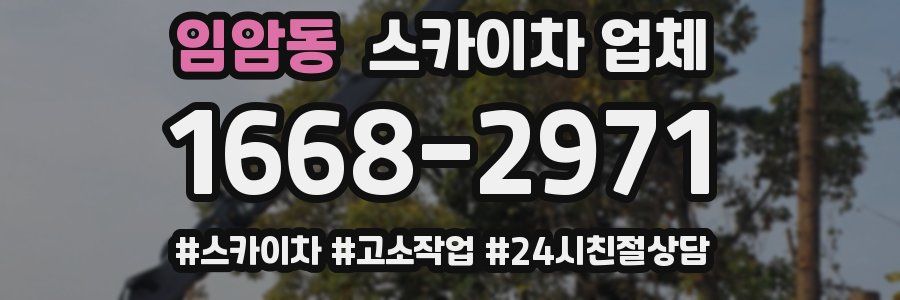 임암동 스카이차 업체