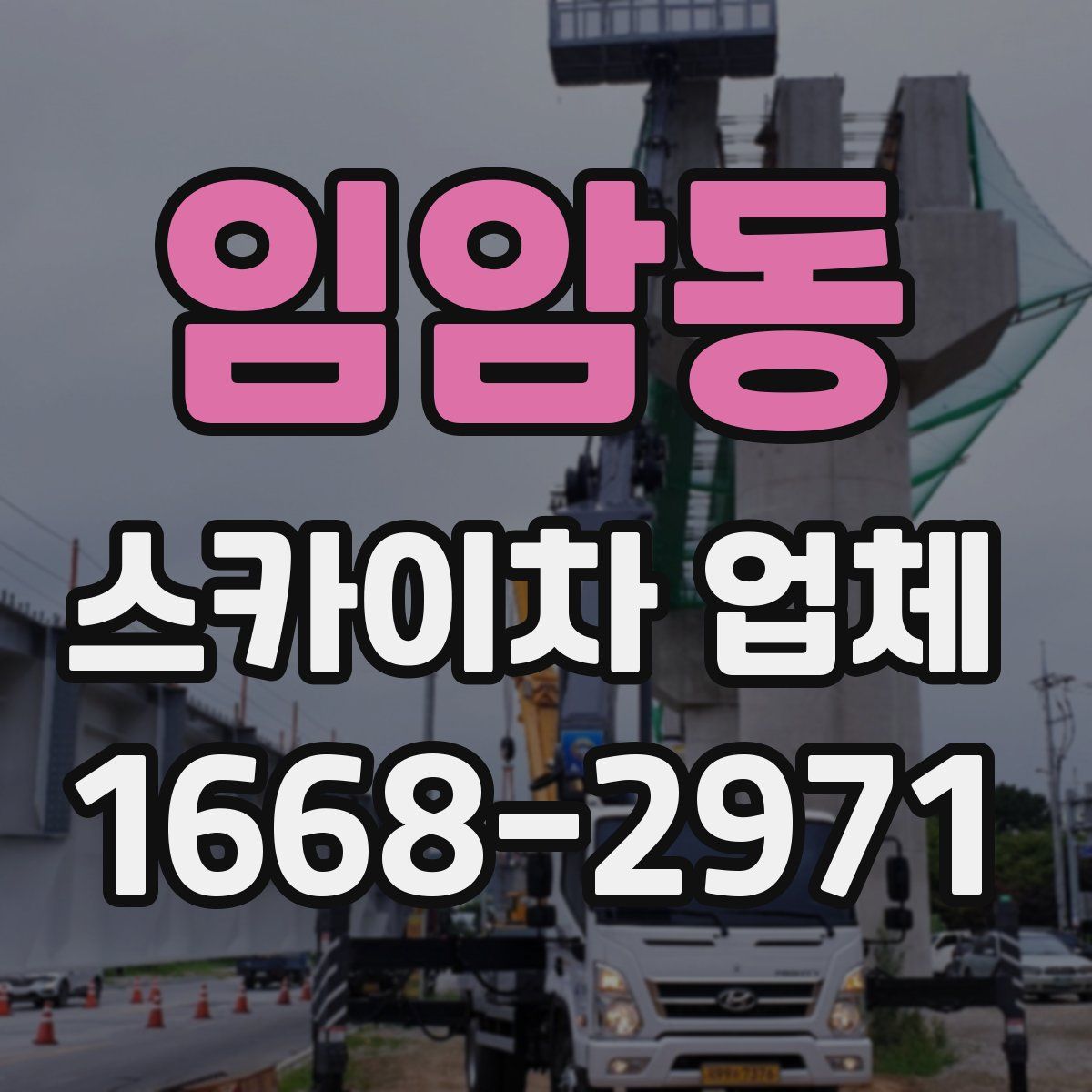 임암동 스카이차 업체
