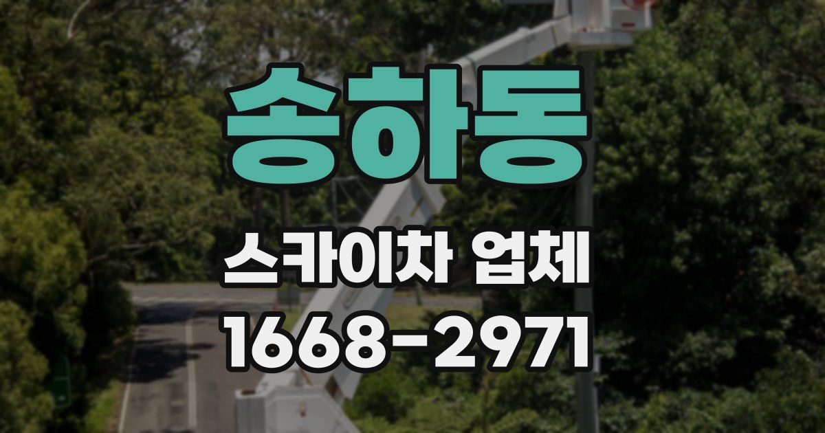 송하동 스카이차 업체