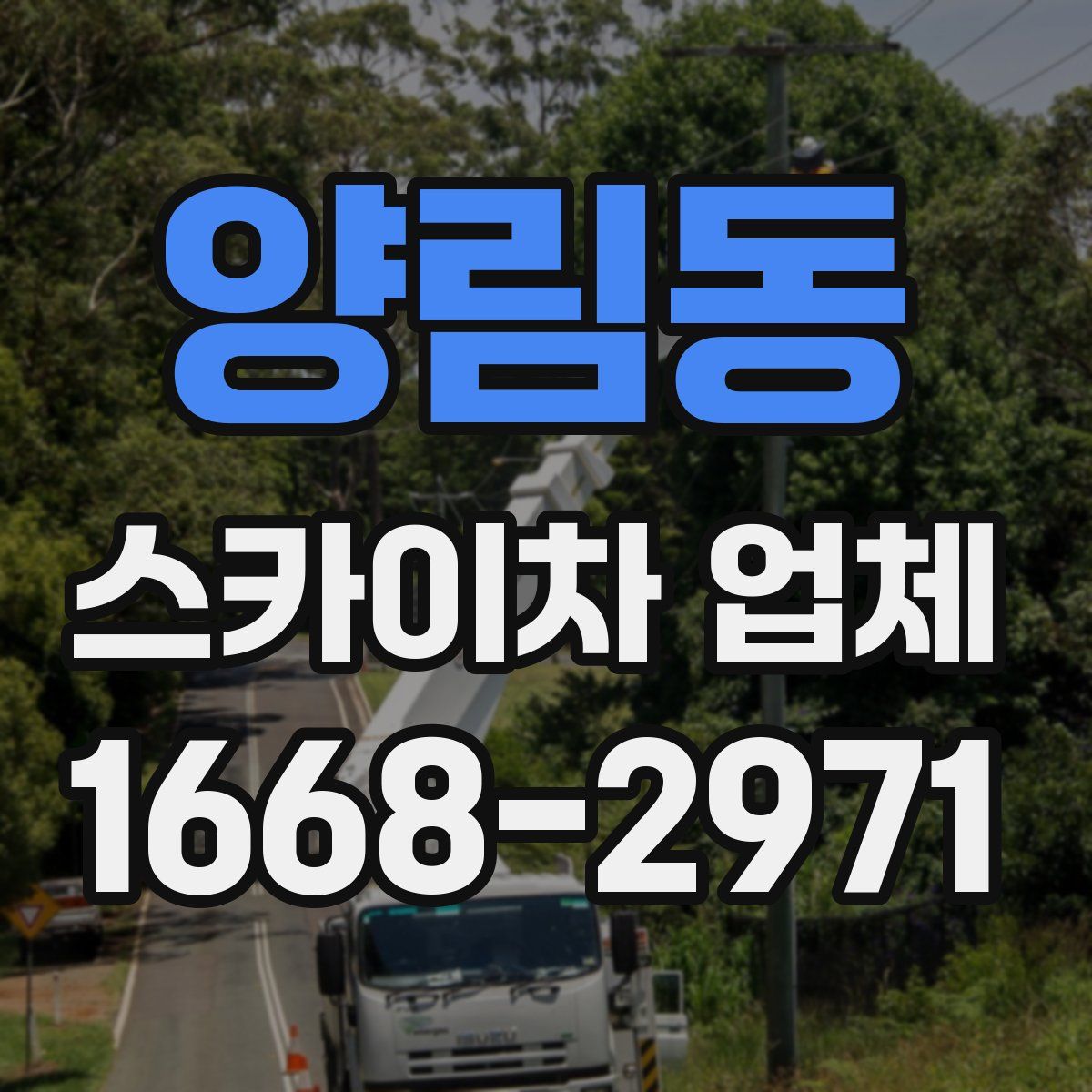 양림동 스카이차 업체