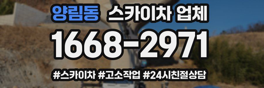 양림동 스카이차 업체