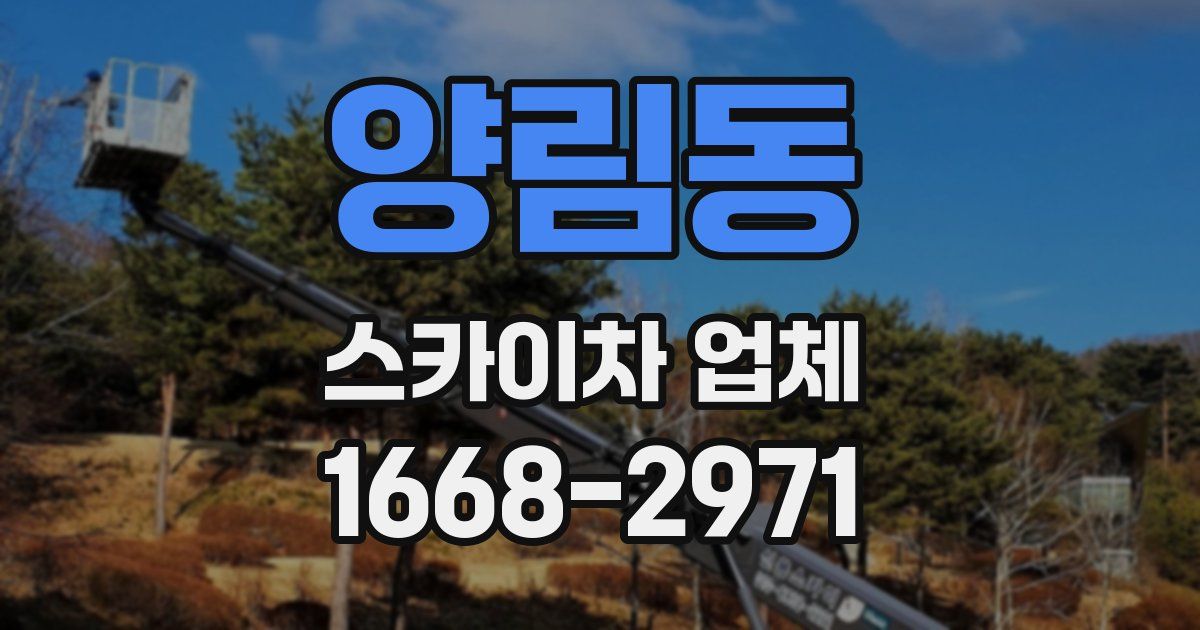 양림동 스카이차 업체