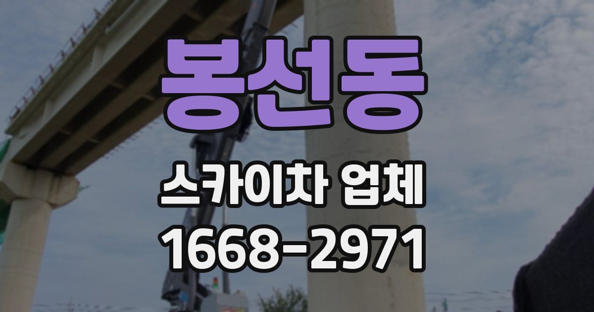 봉선동 스카이차 업체