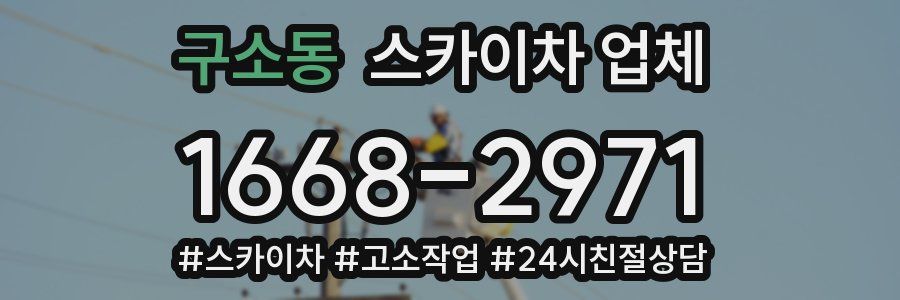 구소동 스카이차 업체