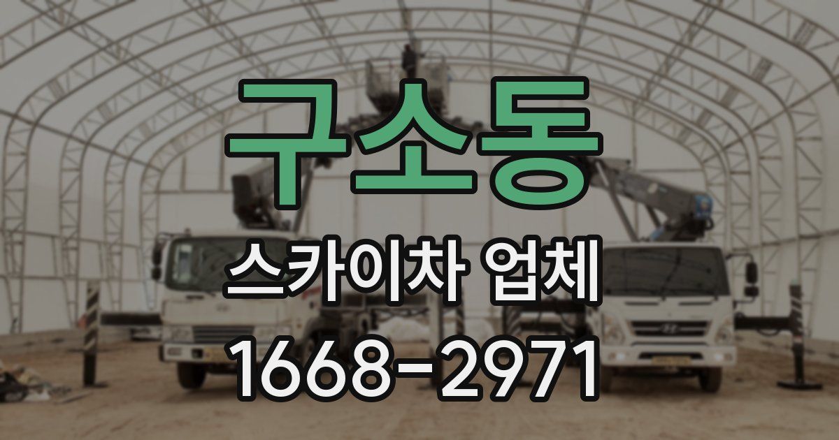 구소동 스카이차 업체