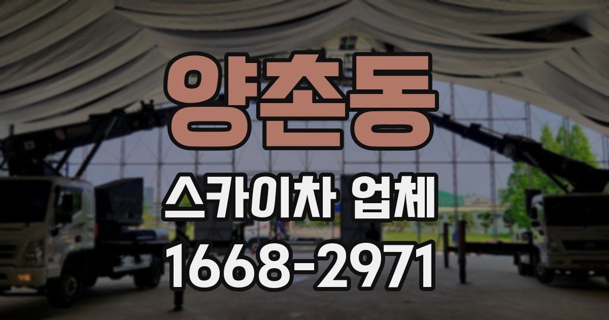 양촌동 스카이차 업체