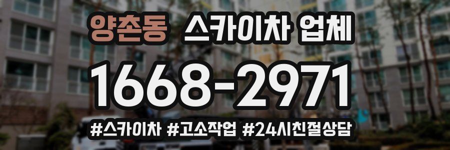 양촌동 스카이차 업체