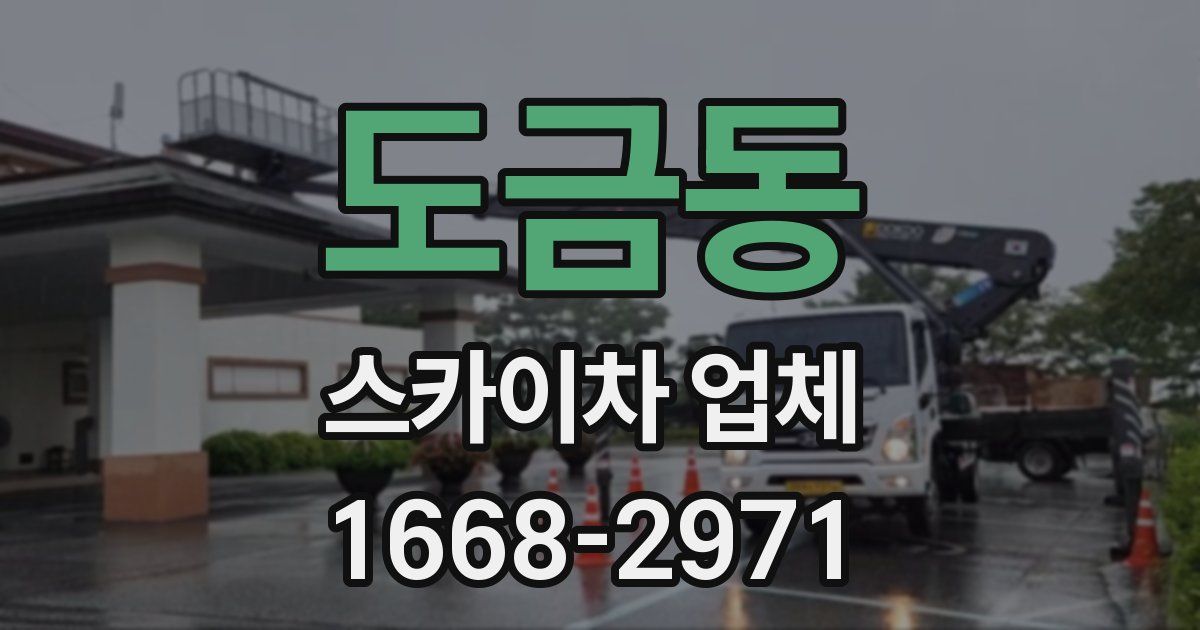 도금동 스카이차 업체
