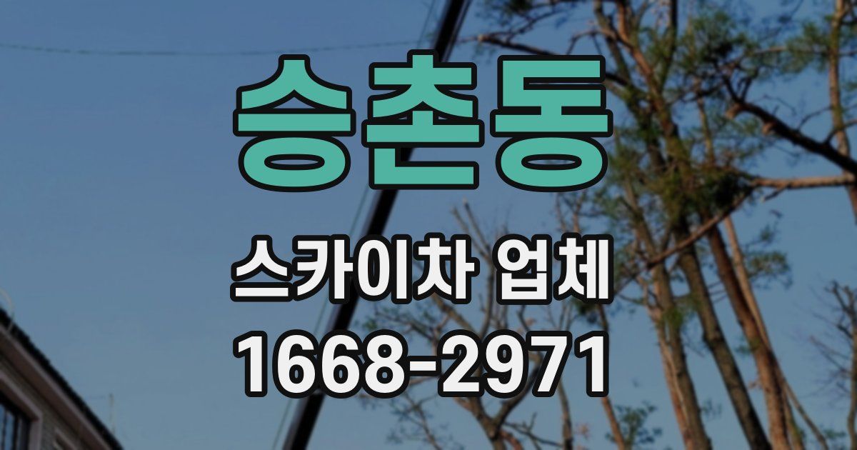 승촌동 스카이차 업체