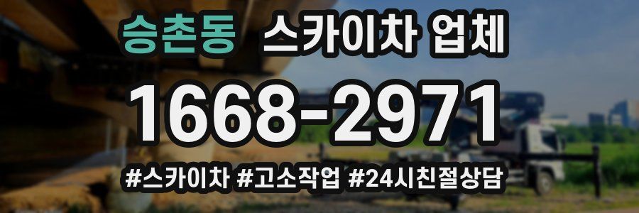 승촌동 스카이차 업체
