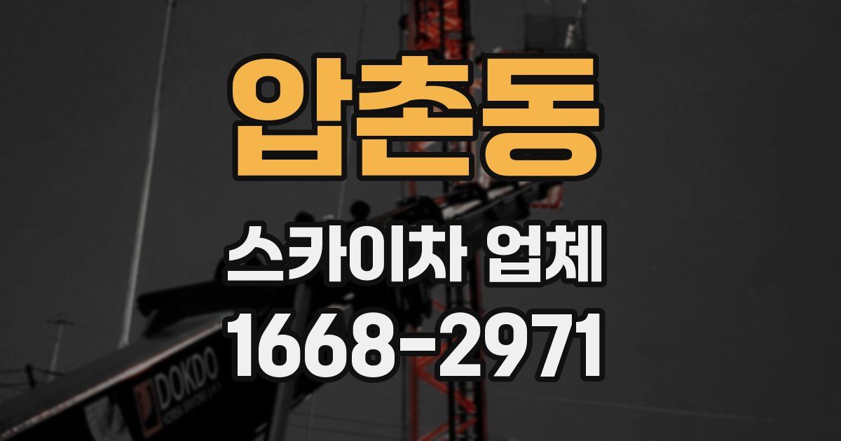 압촌동 스카이차 업체