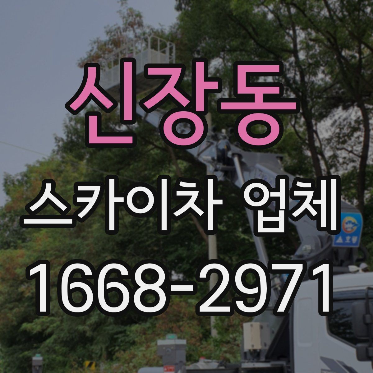 신장동 스카이차 업체 이용 경험이 중요한 이유