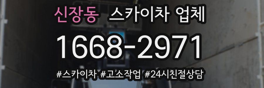 신장동 스카이차 업체