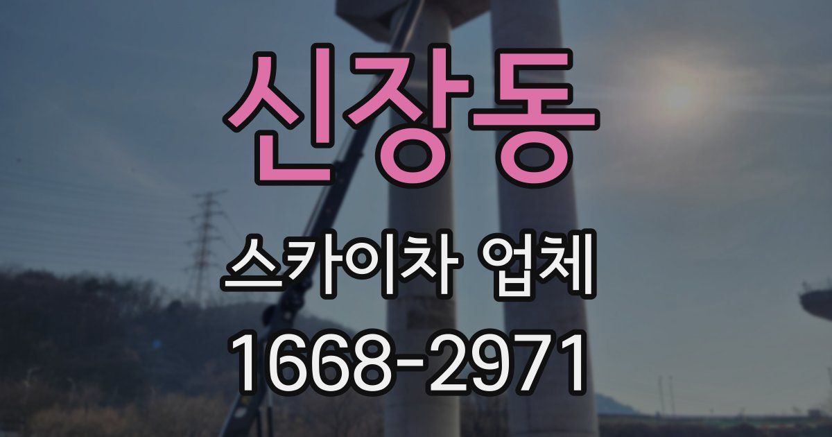 신장동 스카이차 업체