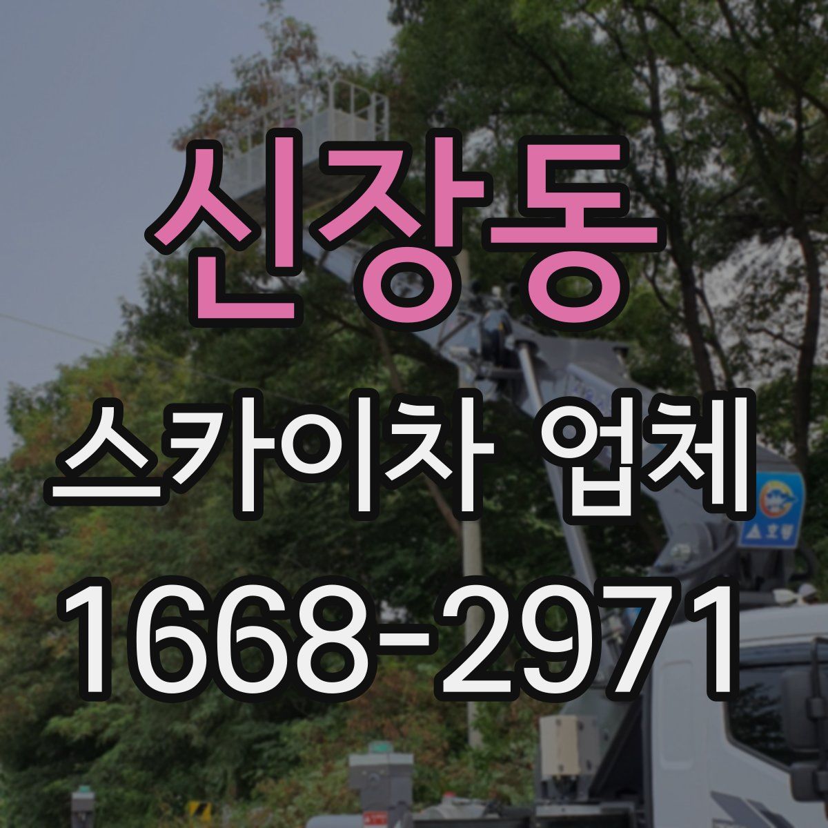 신장동 스카이차 업체
