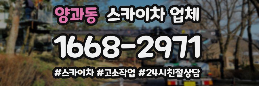 양과동 스카이차 업체