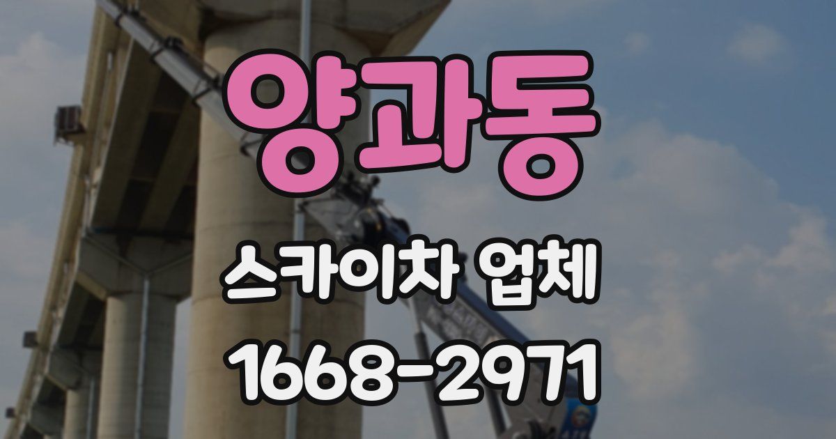 양과동 스카이차 업체