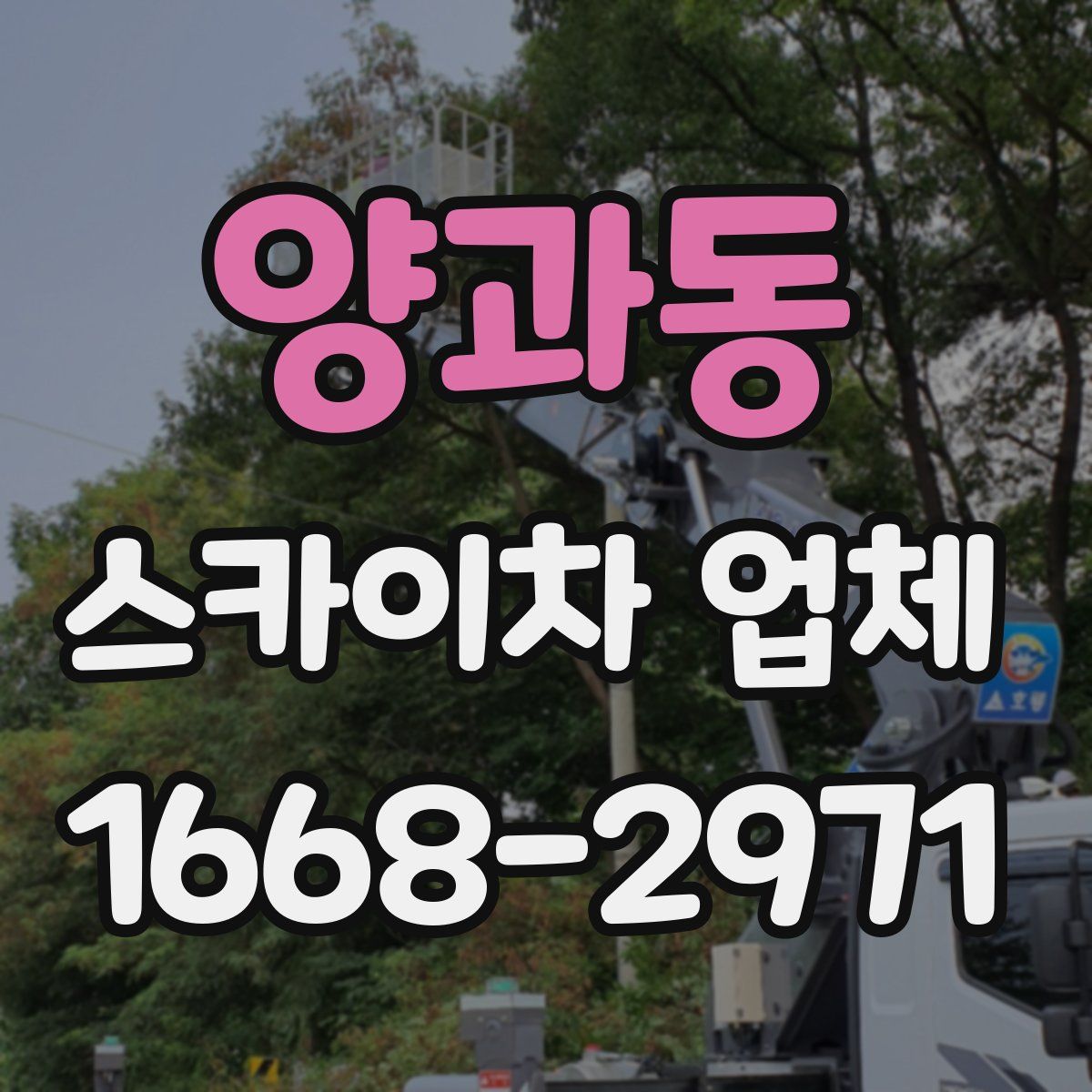 양과동 스카이차 업체