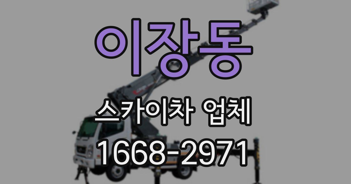 이장동 스카이차 업체