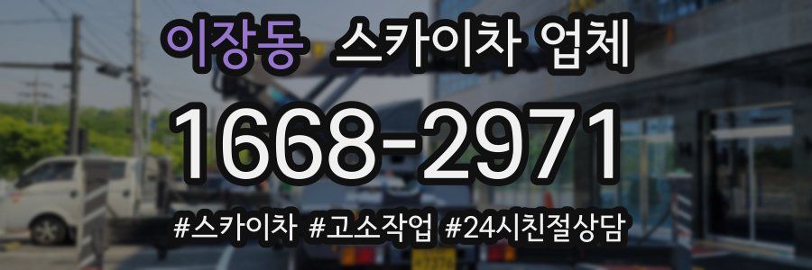 이장동 스카이차 업체