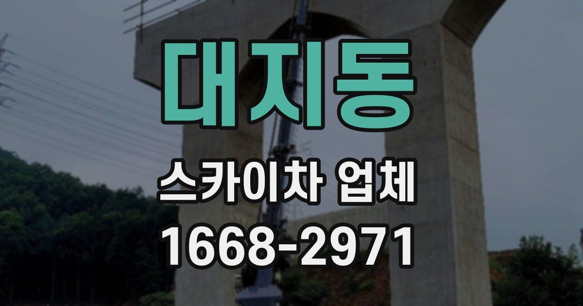 대지동 스카이차 업체