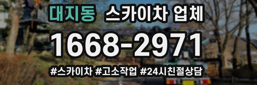 대지동 스카이차 업체