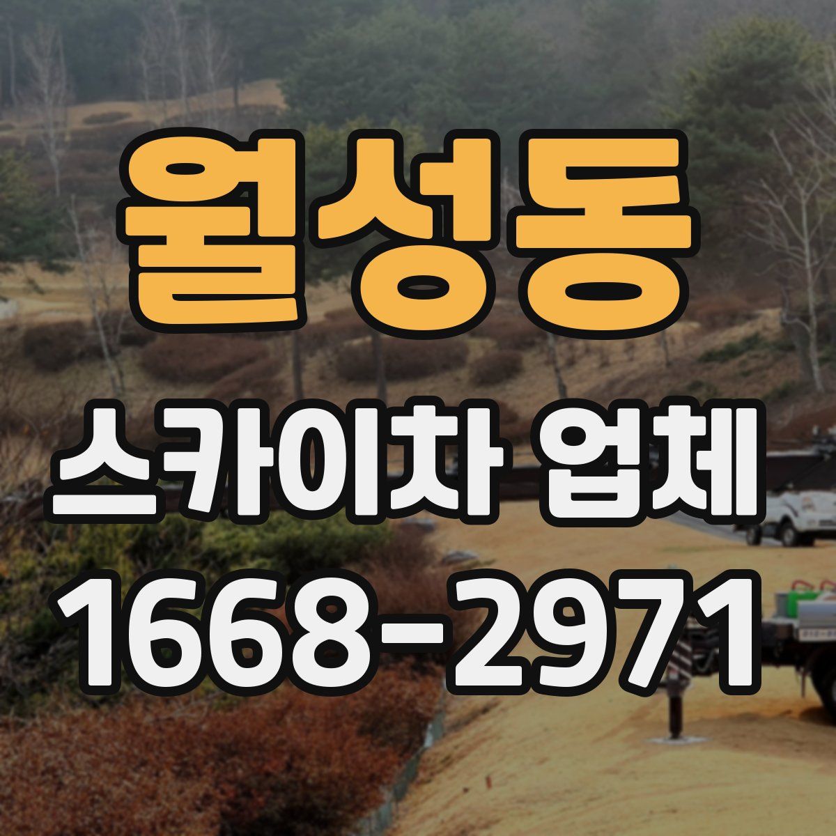 월성동 스카이차 업체