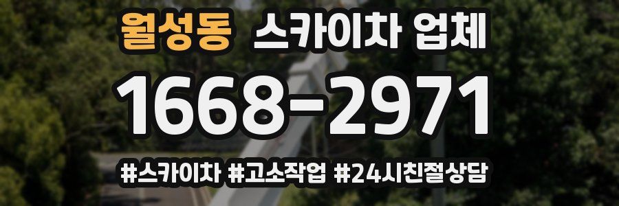 월성동 스카이차 업체