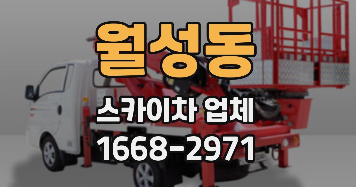 월성동 스카이차 업체