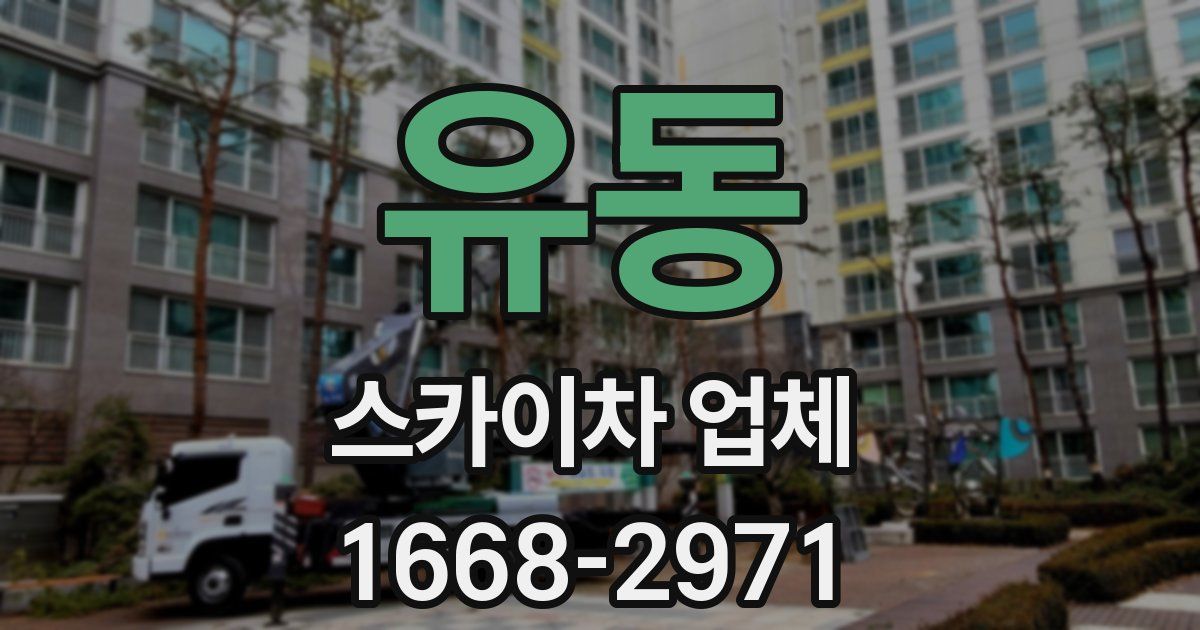 유동 스카이차 업체
