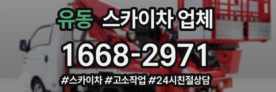 유동 스카이차 업체