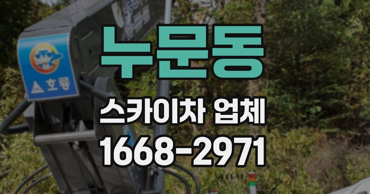 누문동 스카이차 업체