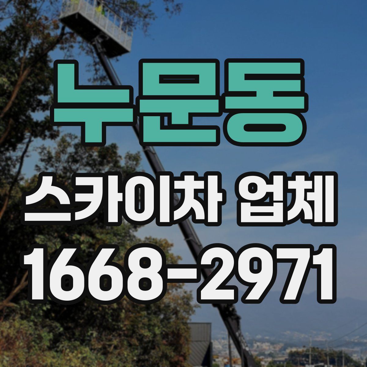 누문동 스카이차 업체