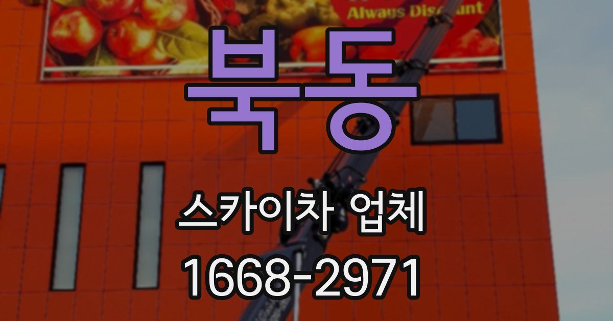 북동 스카이차 업체