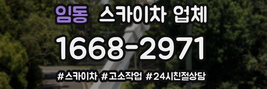 임동 스카이차 업체