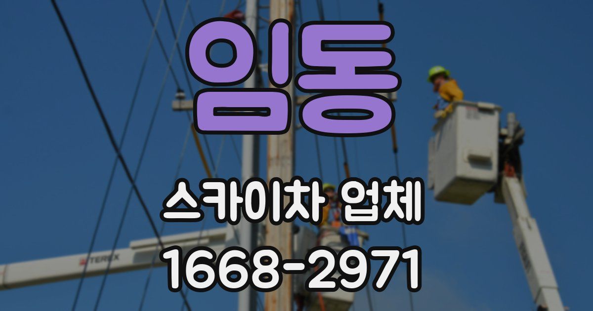 임동 스카이차 업체