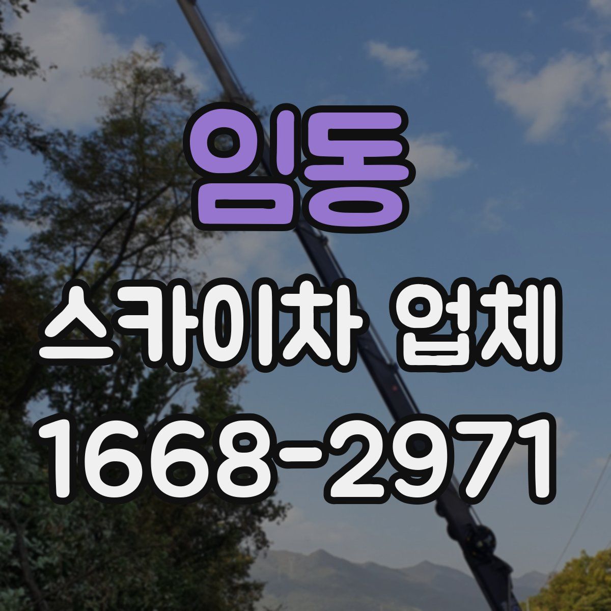임동 스카이차 업체
