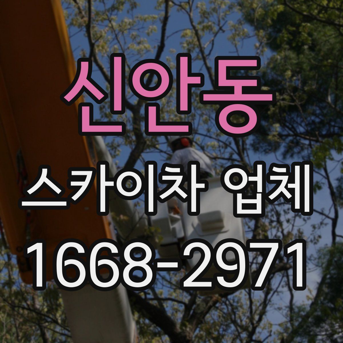 신안동 스카이차 업체