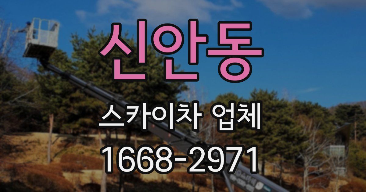 신안동 스카이차 업체
