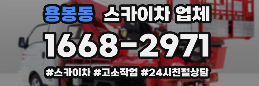 용봉동 스카이차 업체