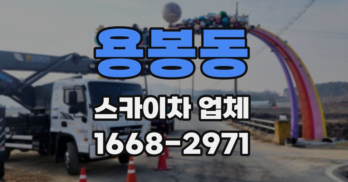 용봉동 스카이차 업체