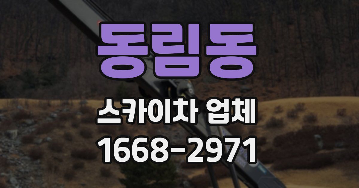 동림동 스카이차 업체